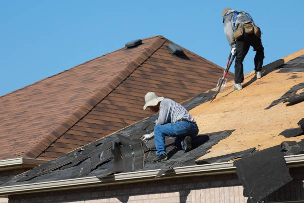 Best Gutter Installation and Repair  in Columbus, GA